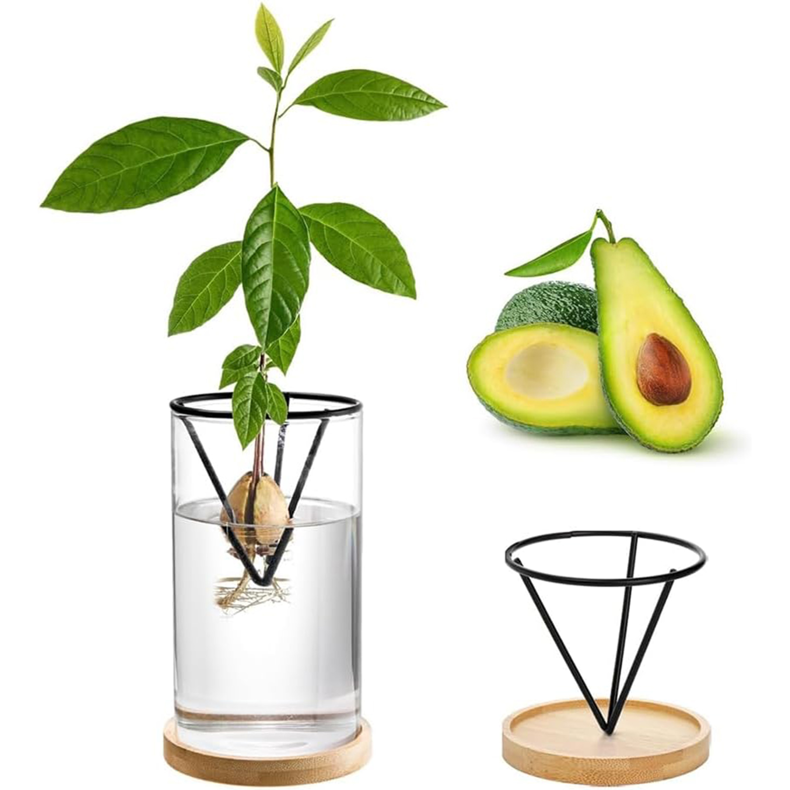 1Set Avocado Tree Growing Kits - Crystal Growing Kit avaliação e preço