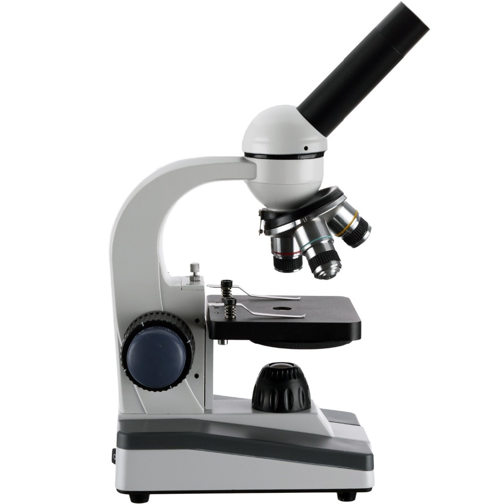 AmScope M150 Series Portable L - Microscope Compound 40X avaliação e preço