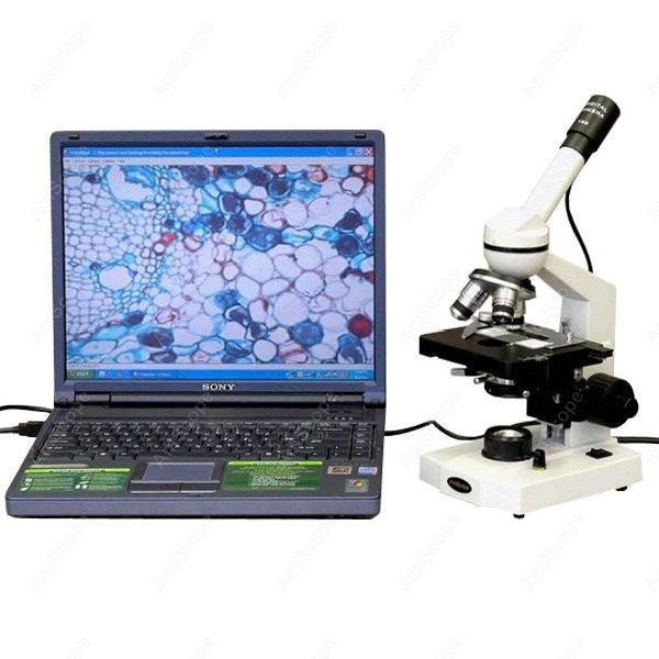 AmScope M600 Series Student Mo - Microscope Compound 40X avaliação e preço