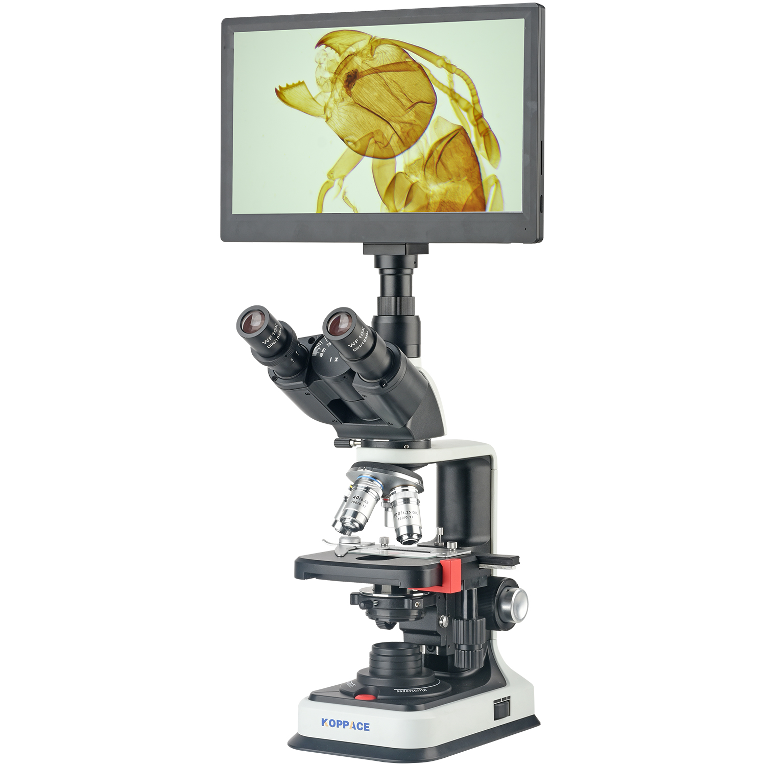 KOPPACE 40X-2500X Electron Com - Microscope Compound 40X avaliação e preço