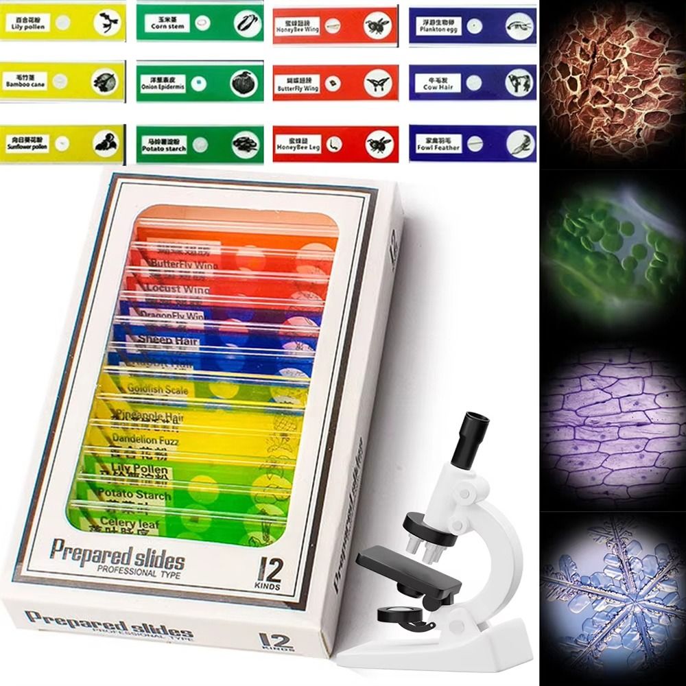 1Pcs 60-120X Pocket Microscope - Science Max avaliação e preço