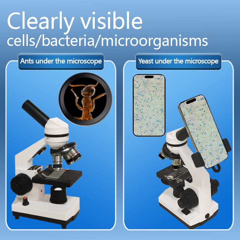 Portable Biological Optical Co - Microscope Compound 40X avaliação e preço