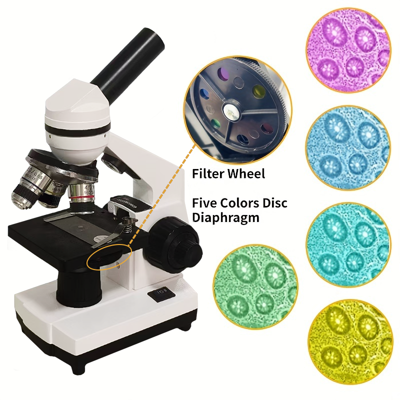 Portable Biological Optical Co - Microscope Compound 40X avaliação e preço
