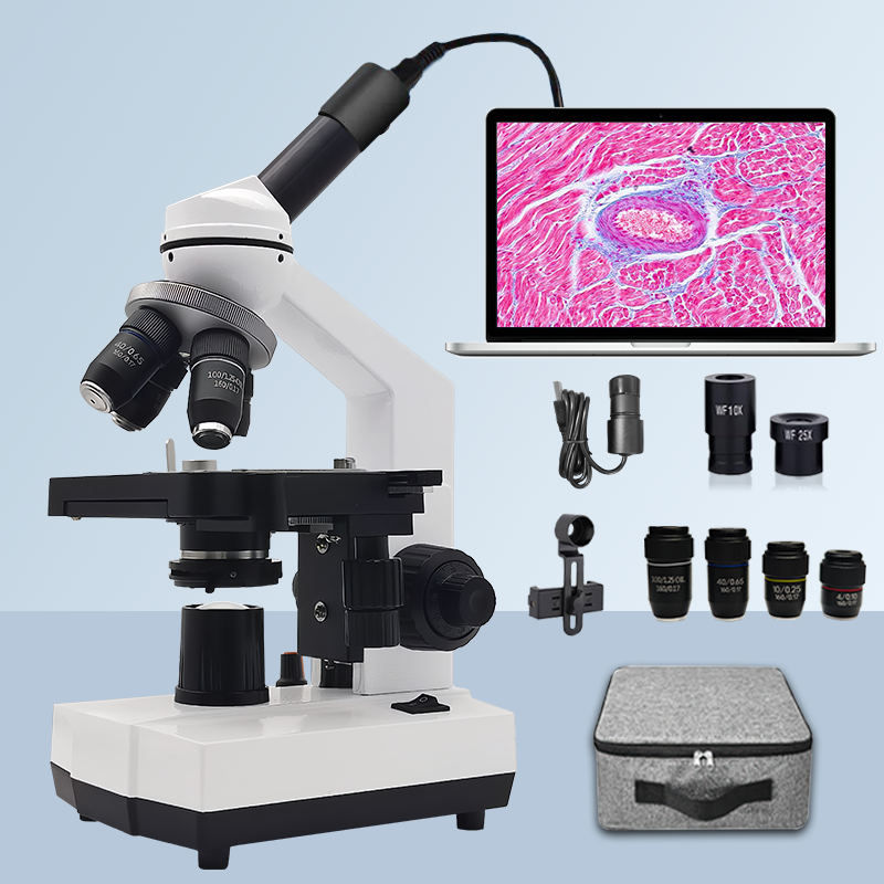 40X-2500X Professional Binocul - Microscope Compound 40X avaliação e preço