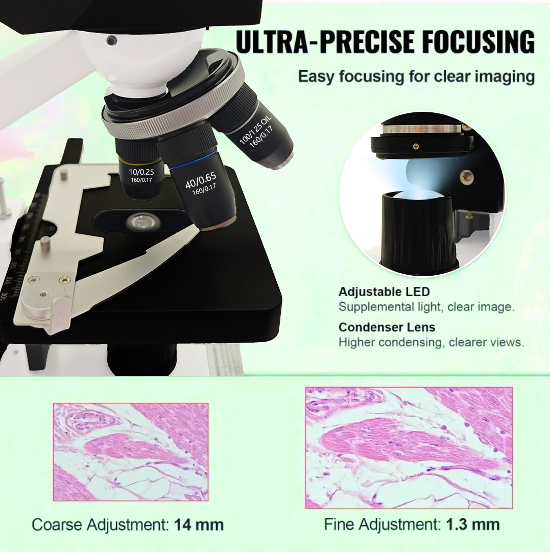 40X-2500X Professional Binocul - Microscope Compound 40X avaliação e preço