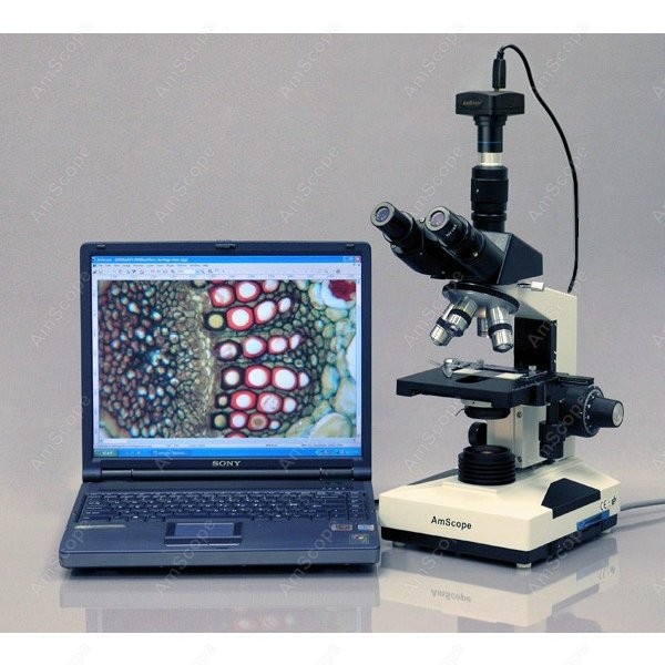 AmScope T490 Series Simul-Foca - Microscope Compound 40X avaliação e preço
