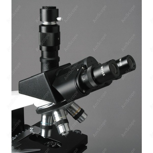 AmScope T490 Series Simul-Foca - Microscope Compound 40X avaliação e preço