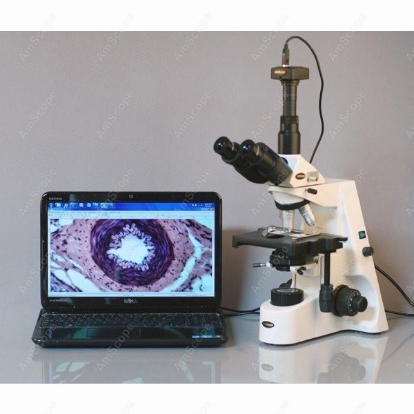 AmScope 40X-2500X Infinity Koh - Microscope Compound 40X avaliação e preço