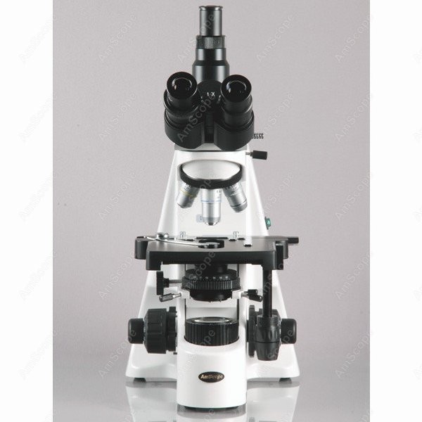 AmScope 40X-2500X Infinity Koh - Microscope Compound 40X avaliação e preço