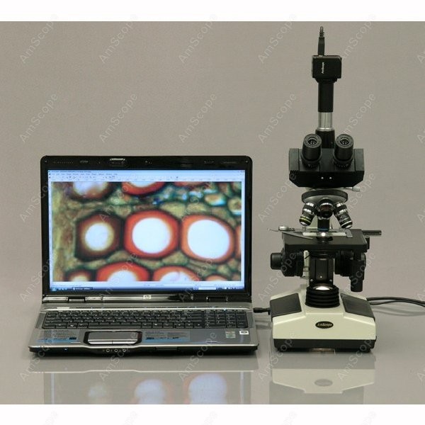 AmScope T390 Series Biological - Microscope Compound 40X avaliação e preço