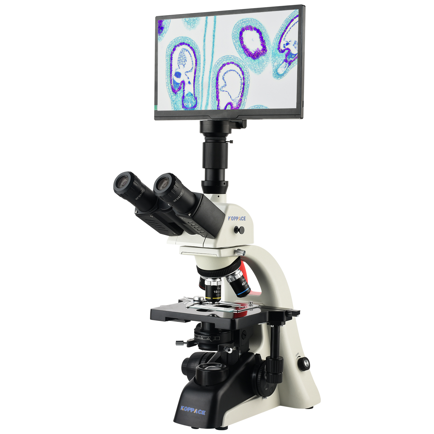 KOPPACE 40X-1600X Electron Com - Microscope Compound 40X avaliação e preço