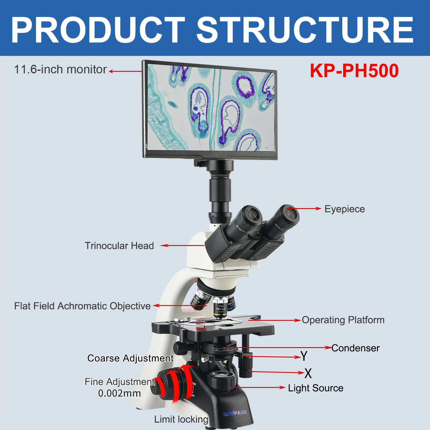 KOPPACE 40X-1600X Electron Com - Microscope Compound 40X avaliação e preço
