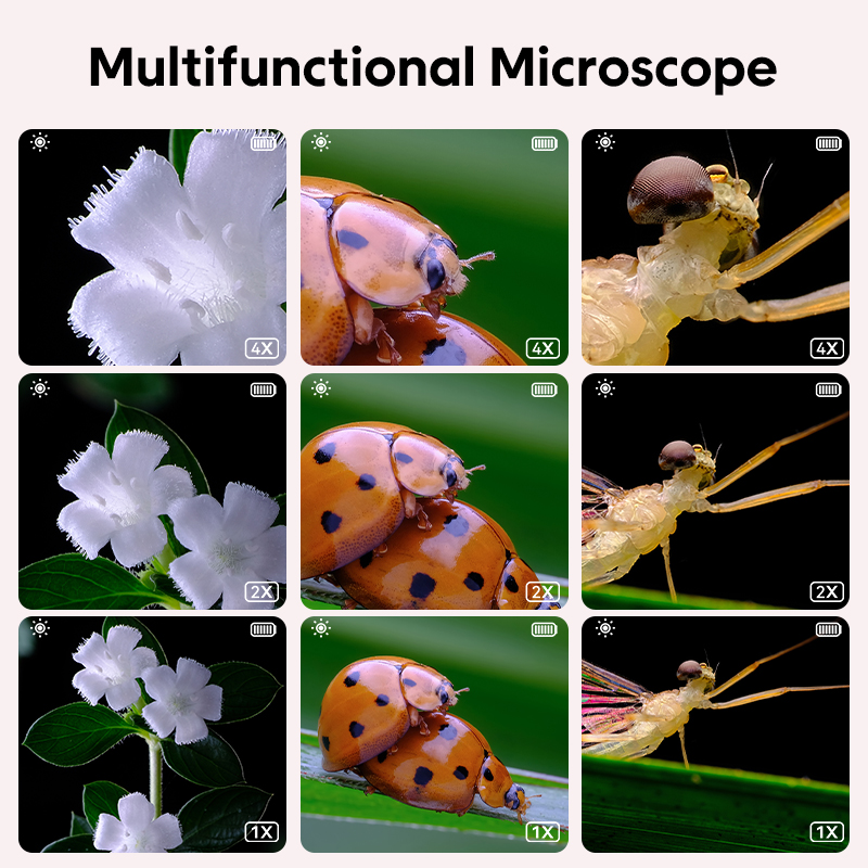 Mini Kids Optical Microscope W - Science Max avaliação e preço